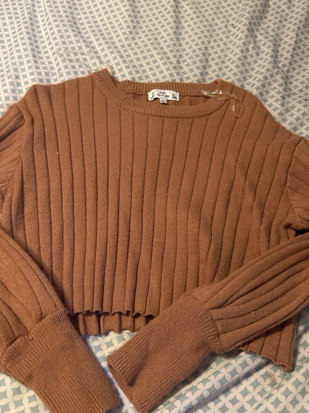 Poof! Cropped Rib-Knit Crewneck Sweater in Brown